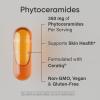 Phytoceramides 350mg per softgel – Plant Derived Ceramides for Healthy Skin and Hydration – Non GMO with No Fillers or Synthetic Vitamins – 30 Liquid softgels(60 Count (Pack of 2))