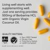 Sports Research Berberine Supplement with Coconut Oil – Herbal & Ayurvedic Metabolic Health Support – Berberine 500mg, 90 Softgels – Gluten-Free, Non-GMO Berberine Powder(90 Count (Pack of 2))