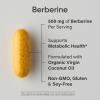 Sports Research Berberine Supplement with Coconut Oil – Herbal & Ayurvedic Metabolic Health Support – Berberine 500mg, 90 Softgels – Gluten-Free, Non-GMO Berberine Powder(90 Count (Pack of 2))