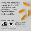 Sports Research Berberine Supplement with Coconut Oil – Herbal & Ayurvedic Metabolic Health Support – Berberine 500mg, 90 Softgels – Gluten-Free, Non-GMO Berberine Powder(60 Count (Pack of 1))