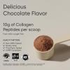 Sports Research Collagen Beauty Complex with Hyaluronic Acid, Vitamin C + Biotin | Pescatarian, Keto Certified & Non-GMO Verified – Unflavored (30 Servings)(Chocolate)