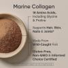Sports Research Collagen Beauty Complex with Hyaluronic Acid, Vitamin C + Biotin | Pescatarian, Keto Certified & Non-GMO Verified – Unflavored (30 Servings)(Chocolate)
