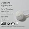 Sports Research Creatine Monohydrate – Gain Lean Muscle, Improve Performance and Strength and Support Workout Recovery* – 5 g Micronized Creatine – 17.64 oz(15.87 Ounce (Pack of 1))