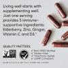Sports Research® Elderberry Immune Support with Zinc, Ginger, Vitamin C & D3 – Vegan Friendly · Non-GMO · Gluten Free – 60 Veggie Capsules
