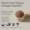 Sports Research Organic Collagen Peptides – Hydrolyzed Type I & III Collagen – Sustainable & Traceable Formula – Chocolate – 30 Servings(Chocolate)