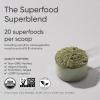 Sports Research® Organic Greens Superfood Powder w/Spirulina & Chlorella, Adaptogens, Enzymes, Probiotics & 8 VIT Bs for Gut & Mood Support* – Vegan, Sugar-Free & Low-Cal Original 30 Servings(Original)