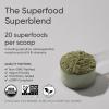 Sports Research® Organic Greens Superfood Powder w/Spirulina & Chlorella, Adaptogens, Enzymes, Probiotics & 8 VIT Bs for Gut & Mood Support* – Vegan, Sugar-Free & Low-Cal Original 30 Servings(Pineapple Coconut)