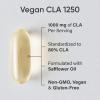 Sports Research Vegan CLA – 1250mg with Active Conjugated Linoleic Acid for Men & Women | Non-GMO, Soy & Gluten Free – 80% (90 Softgels)
